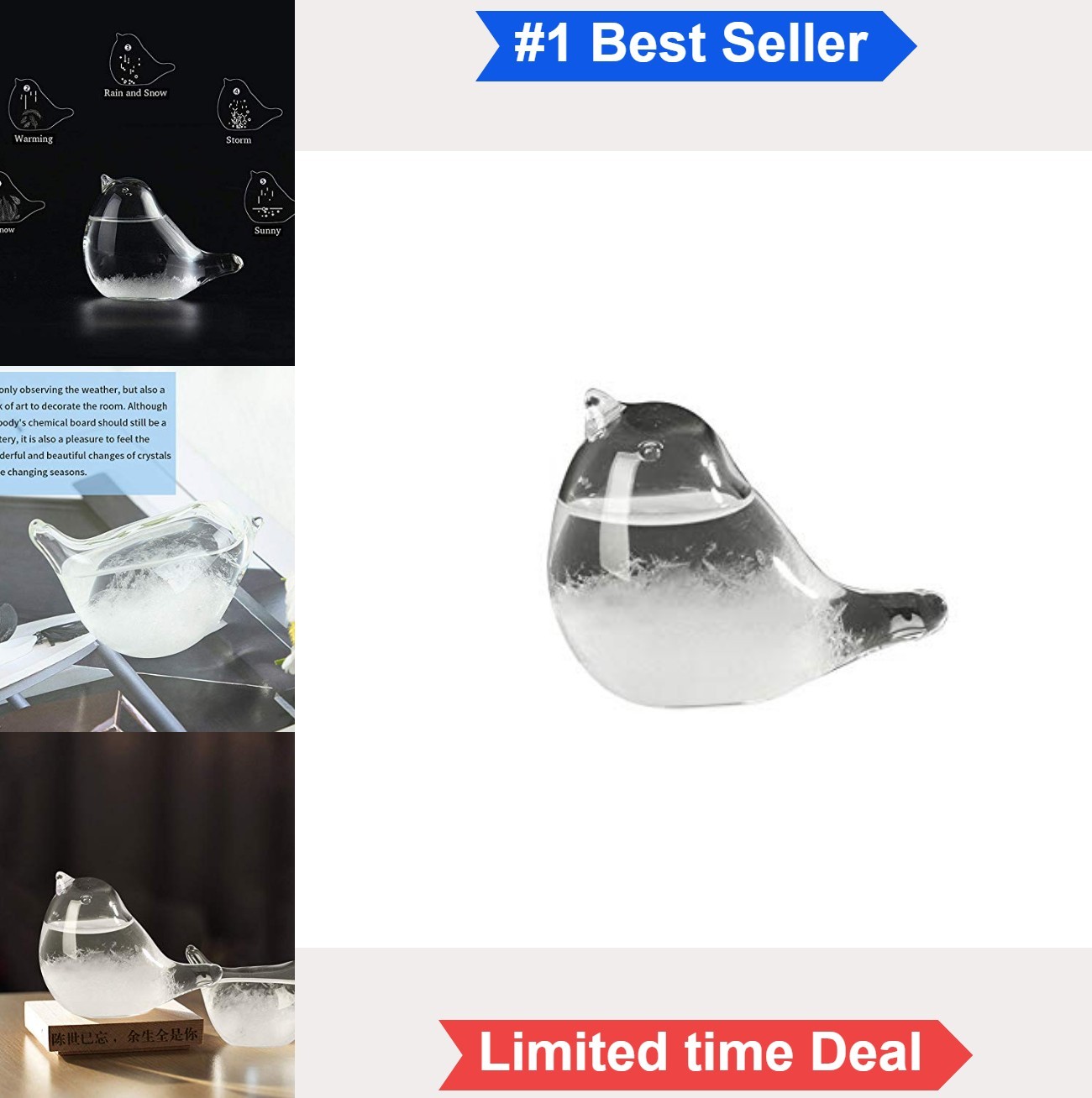 Storm Glass Weather Forecaster Water Drop Predictor Borosilicate Glass Bird