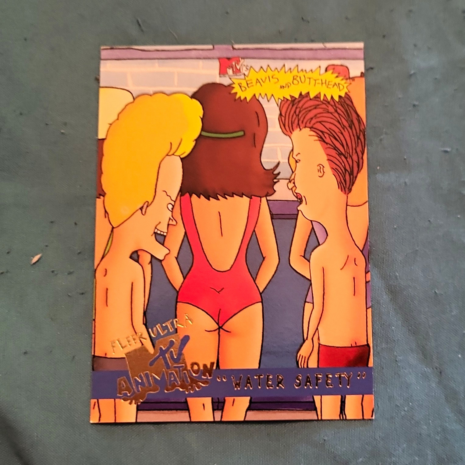 Fleer 1994 MTV\'s Beavis and Butt-Head Non-Sport Card #7 Damnation Water Safety