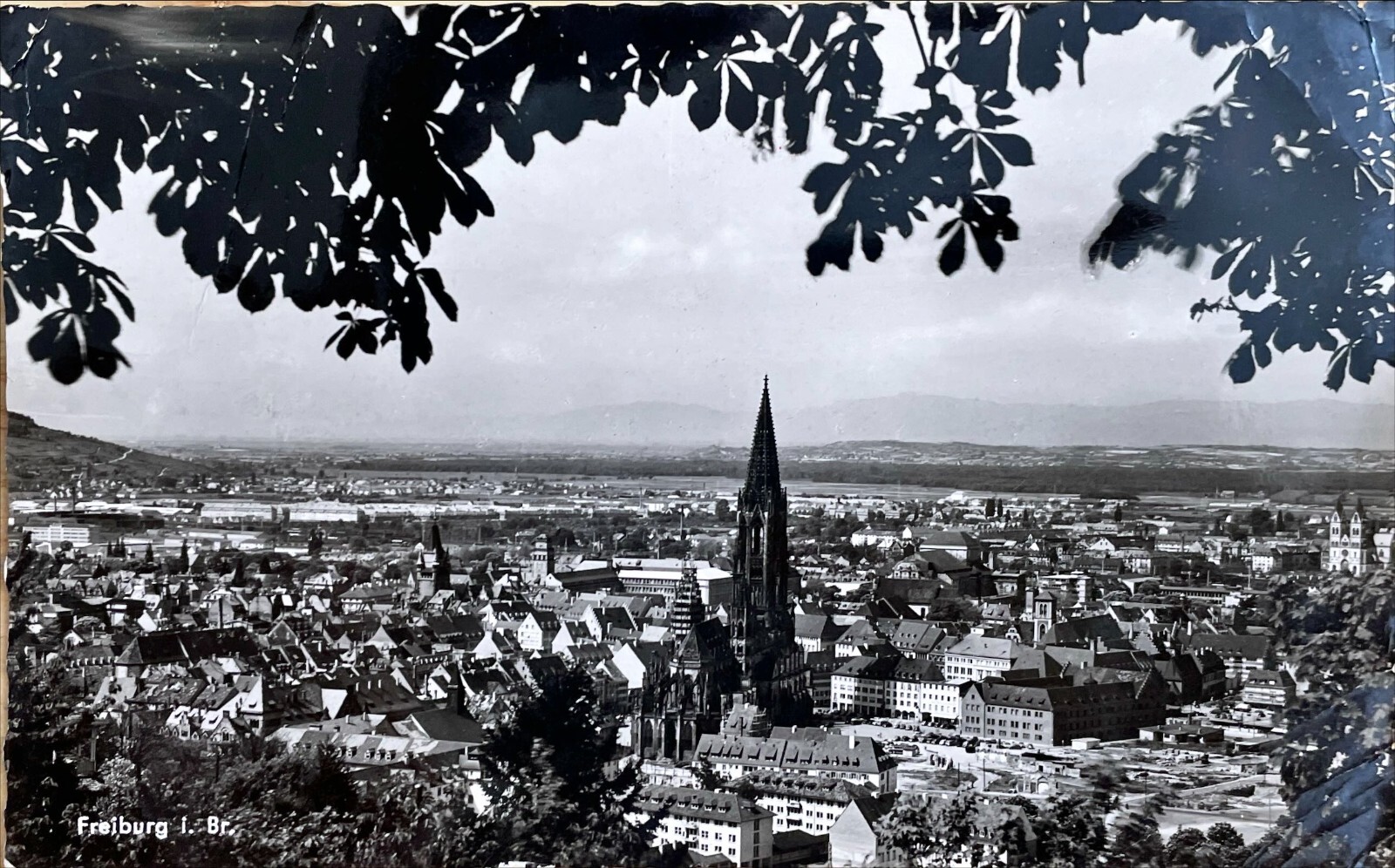 Vintage Postcard of Freiburg Germany Aerial City View Posted RPPC