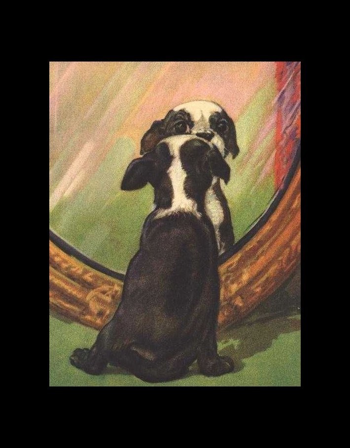 Boston Terrier - CUSTOM MATTED - Dog Art Print - D. Thorne - Small - 5x7 Boston Terrier - CUSTOM MATTED - Dog Art Print - D. Thorne - Small - 5x7