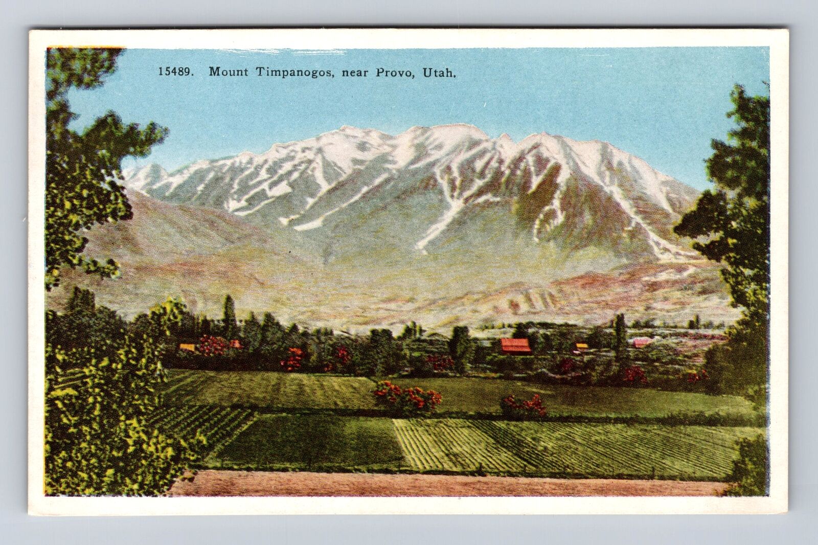Provo UT-Utah, Mount Timpanogos, Antique Vintage Souvenir Postcard