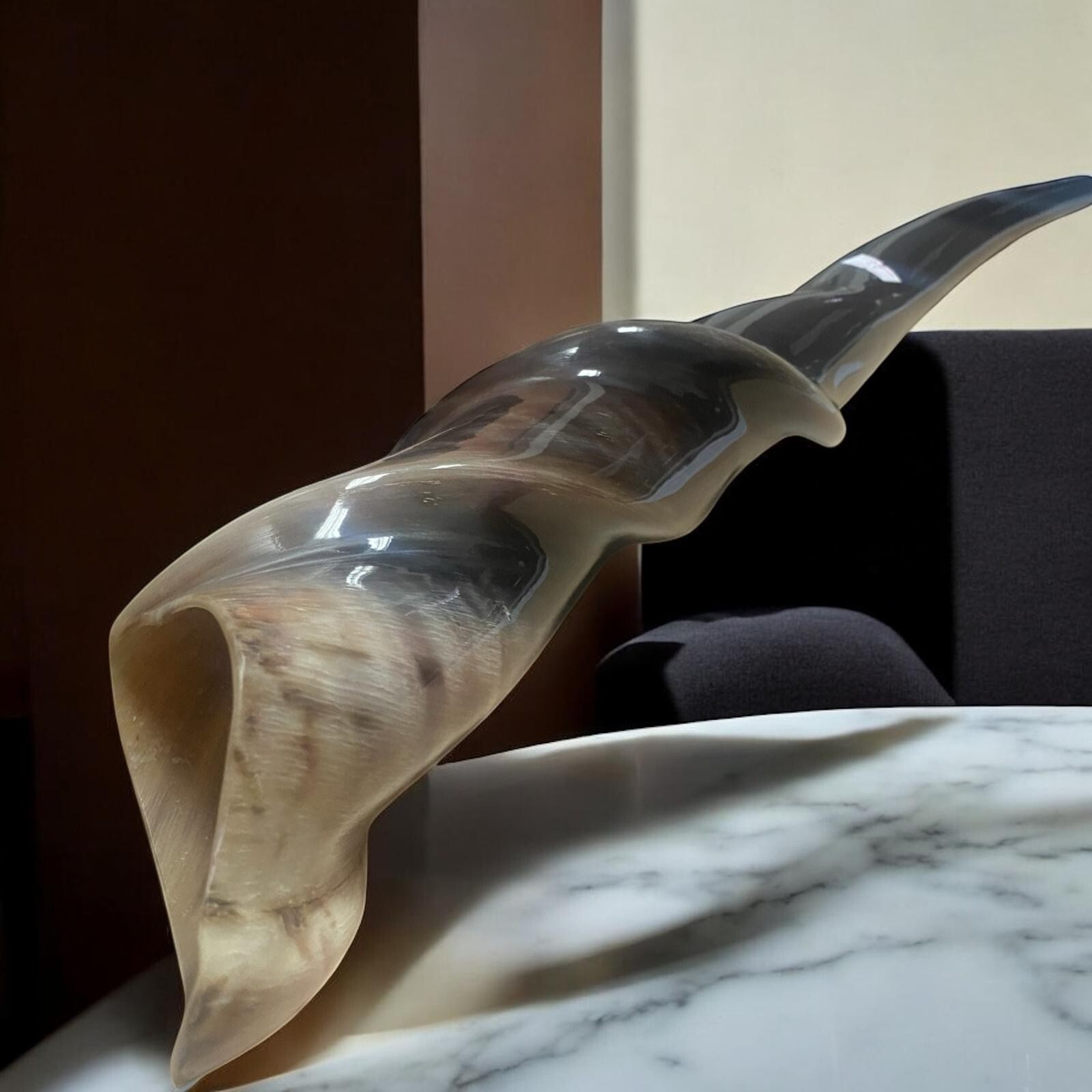 Huge Eland Big Size Horn Shofar New Polished 20\