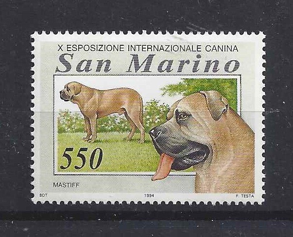 Dog Art Head Body Study Portrait Postage Stamp ENGLISH MASTIFF San Marino MNH