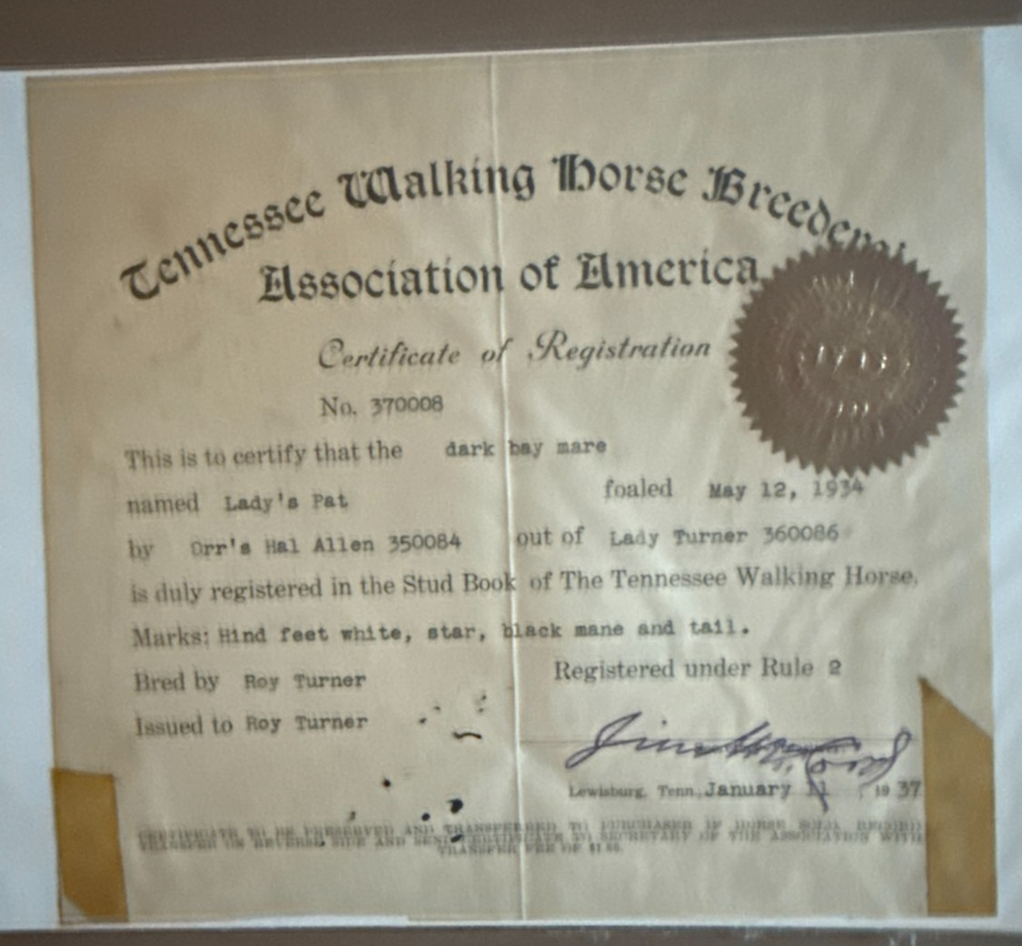 Antique 1937 Tennessee Walking Horse Breeder Registration Foundation Papers