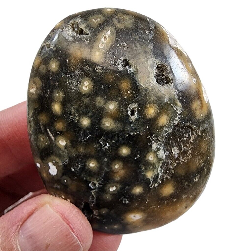 Ocean Jasper Palm Stone 41.8 grams