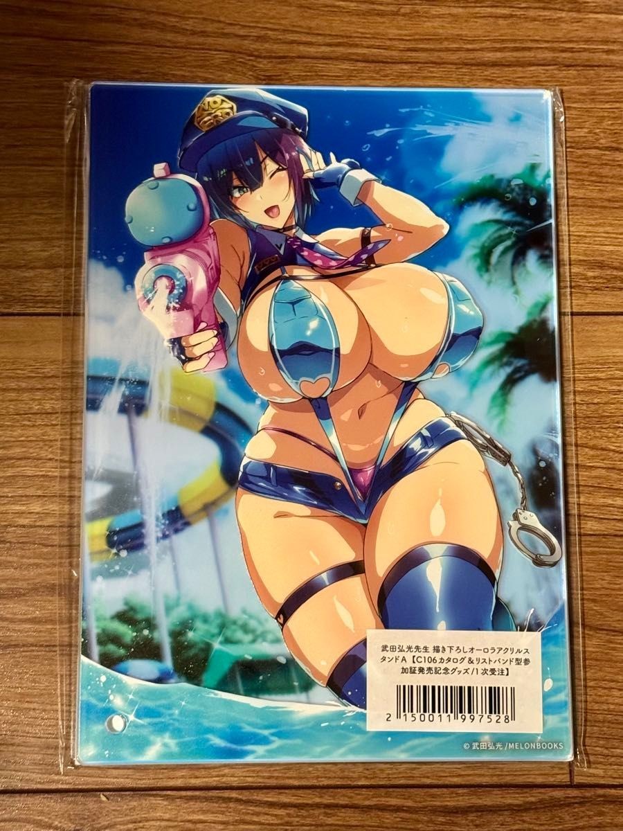 Takeda Hiromitsu Aurora Acrylic Stand C106 New