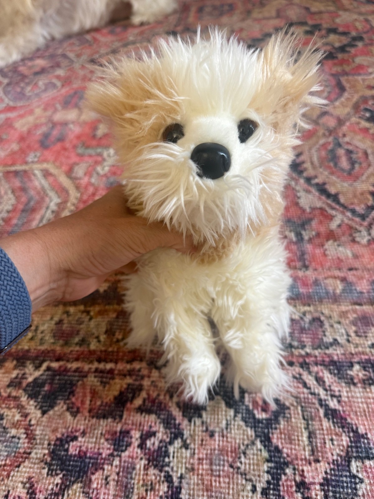 Douglas Marley Maltese Dog Puppy 12\