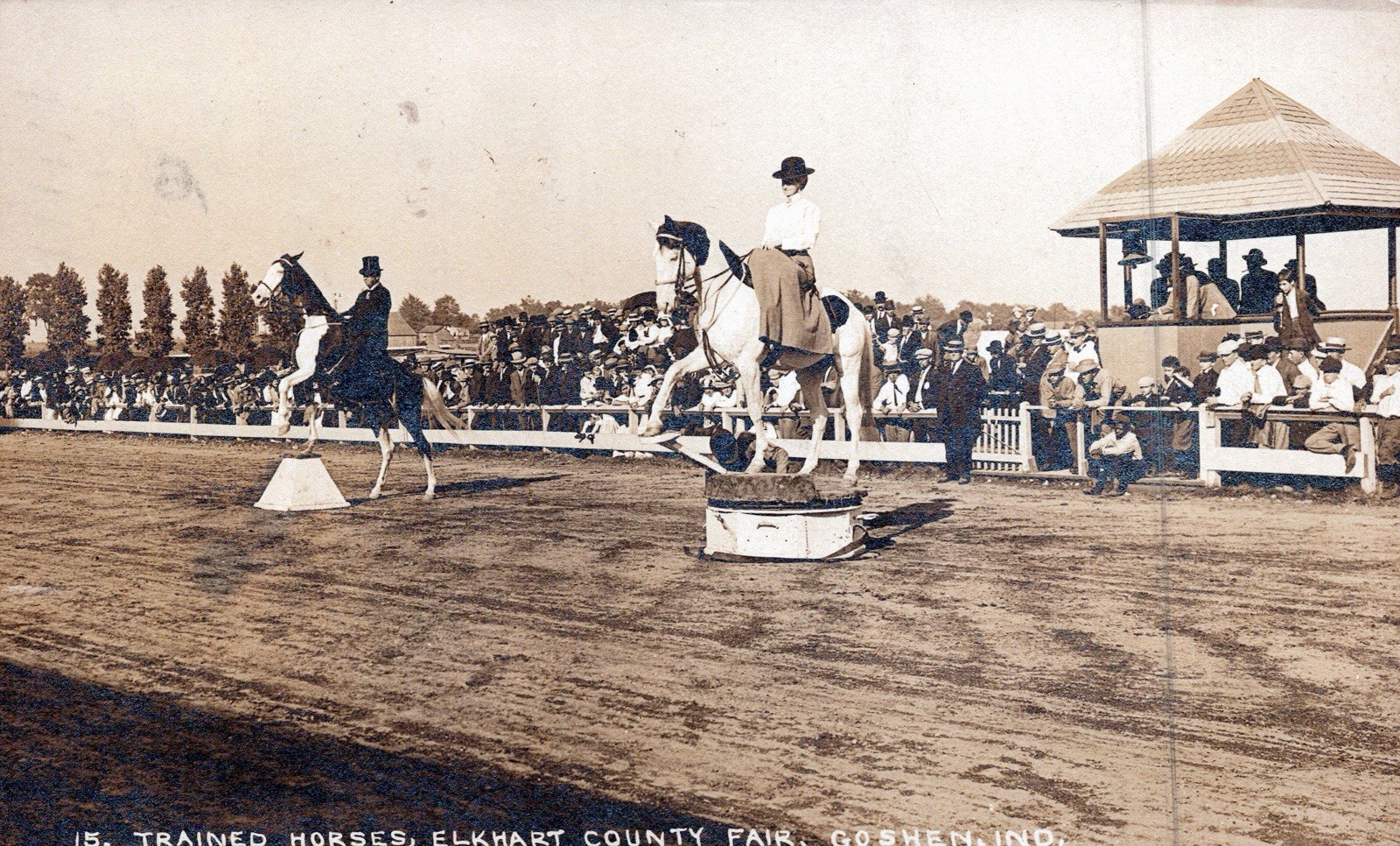 Goshen Indiana Elkhart County Fair Trained Horses Equestrian RPPC Postcard 1911