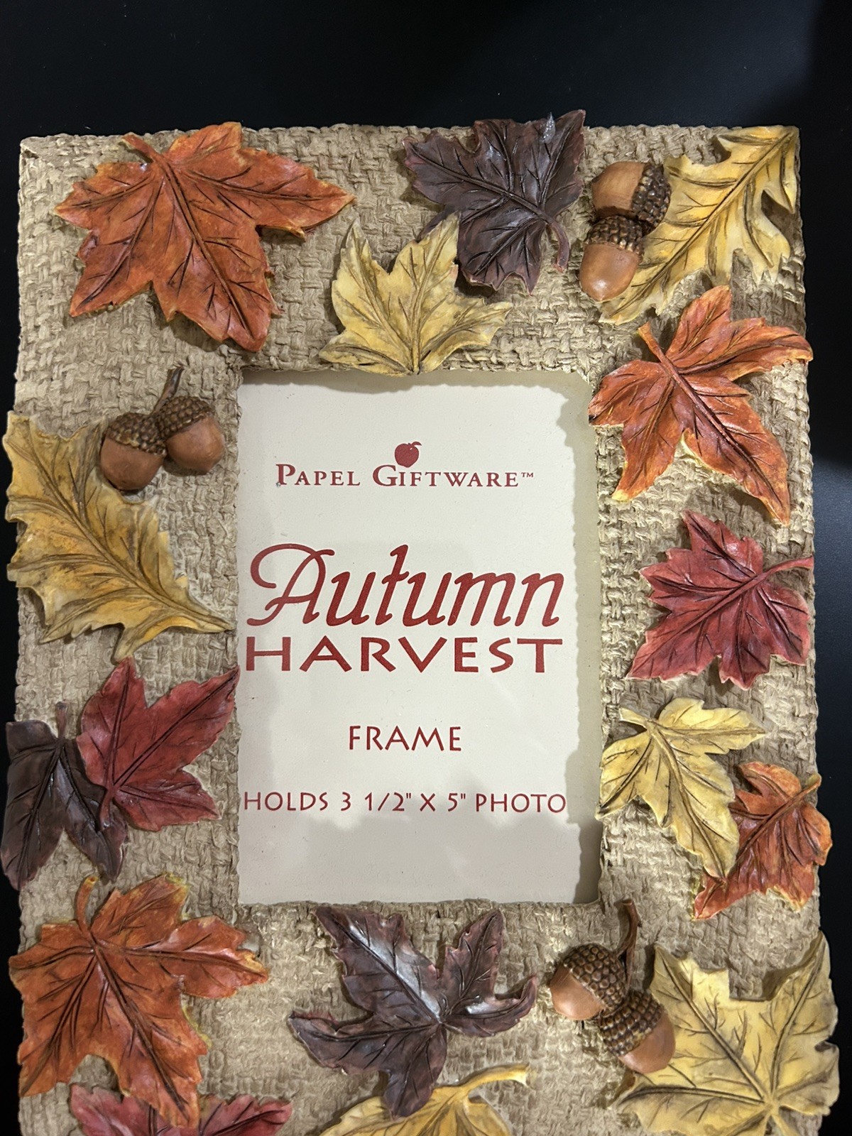 Papel Giftware Autumn Harvest 3.5x5 In Frame