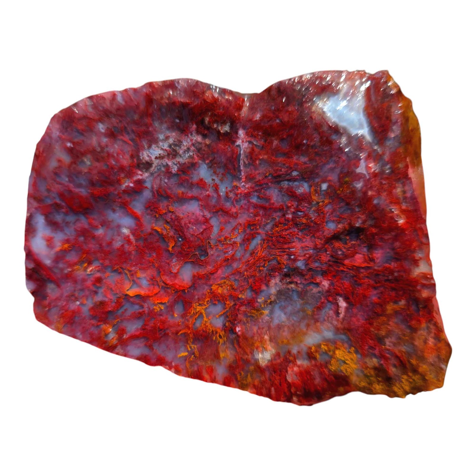 Random Pull San Carlos Agate Lapidary Rough Uncut Chunks