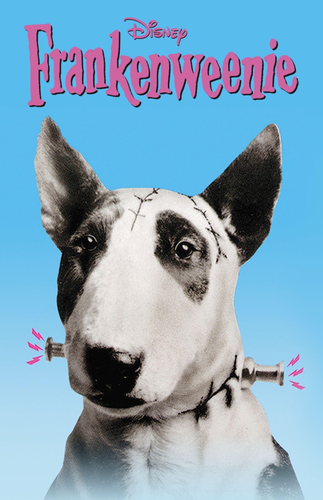 Frankenweenie (1984) Movie Poster Print Wall Art Home Decor Vintage Film