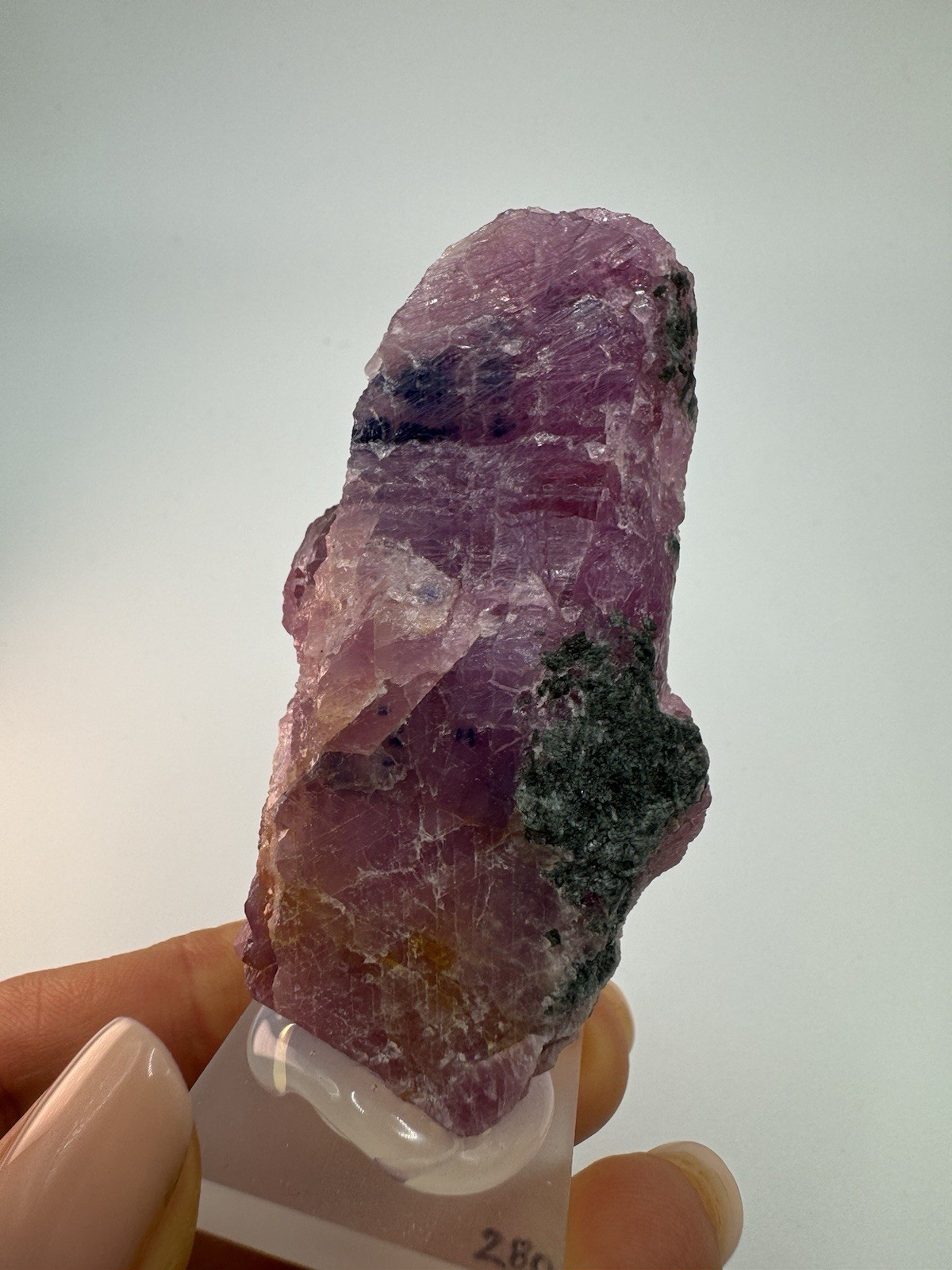 RUBY SAPPHIRE Crystal (126gr) Ruby, Sapphire Two Tone Crystal Winza, Tanzania