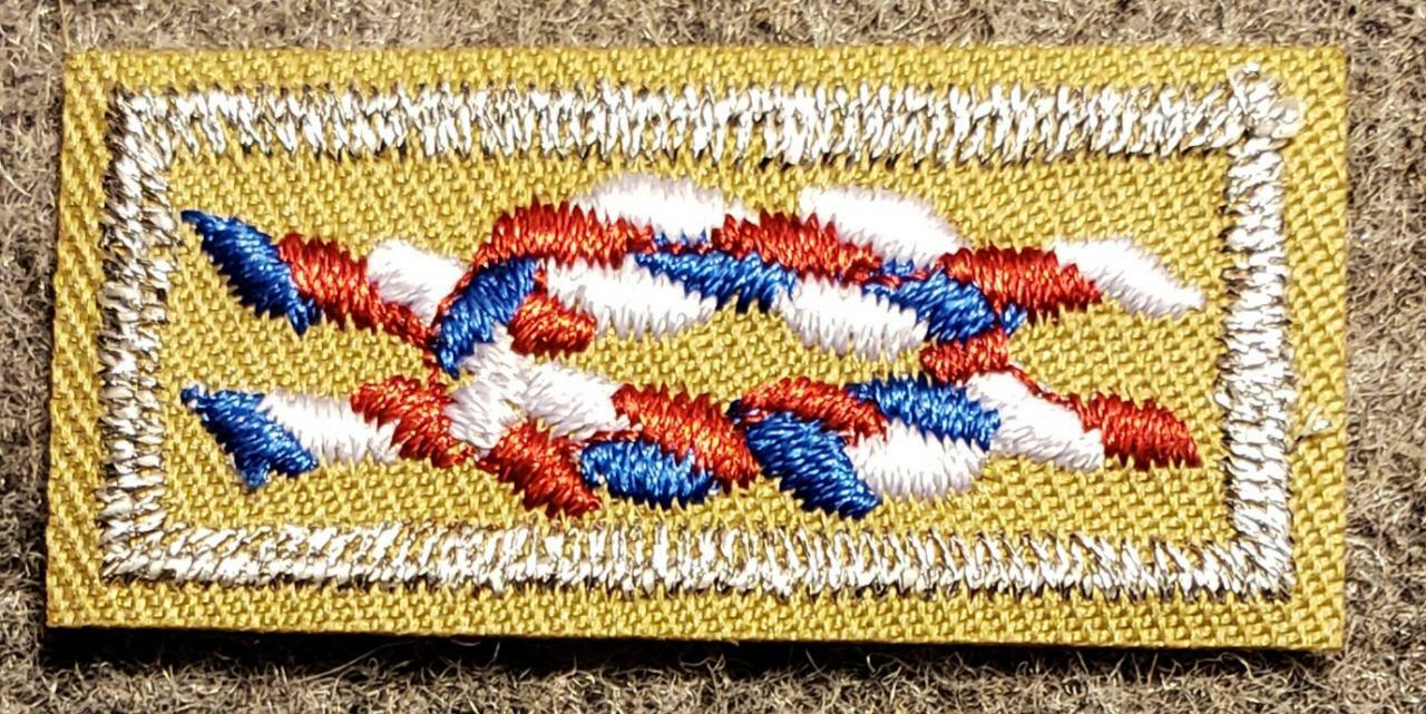 BSA NESA Life Eagle Member Square Knot on Tan - Current - Boy Scouts of America