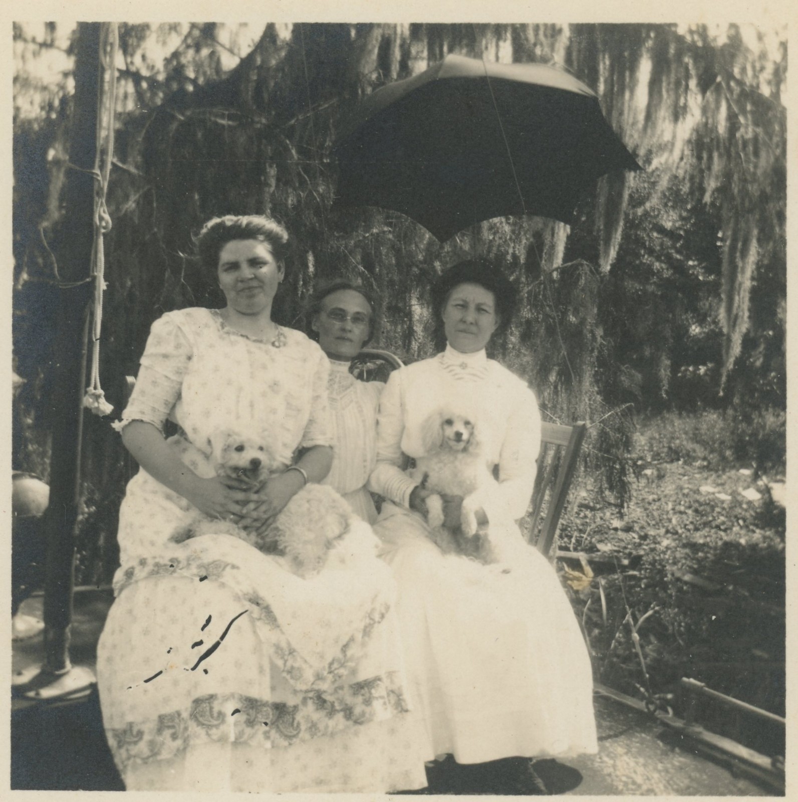 Women Edwardian Dresses Poodle Terrier Dogs Umbrella  Antique Photo 1910s
