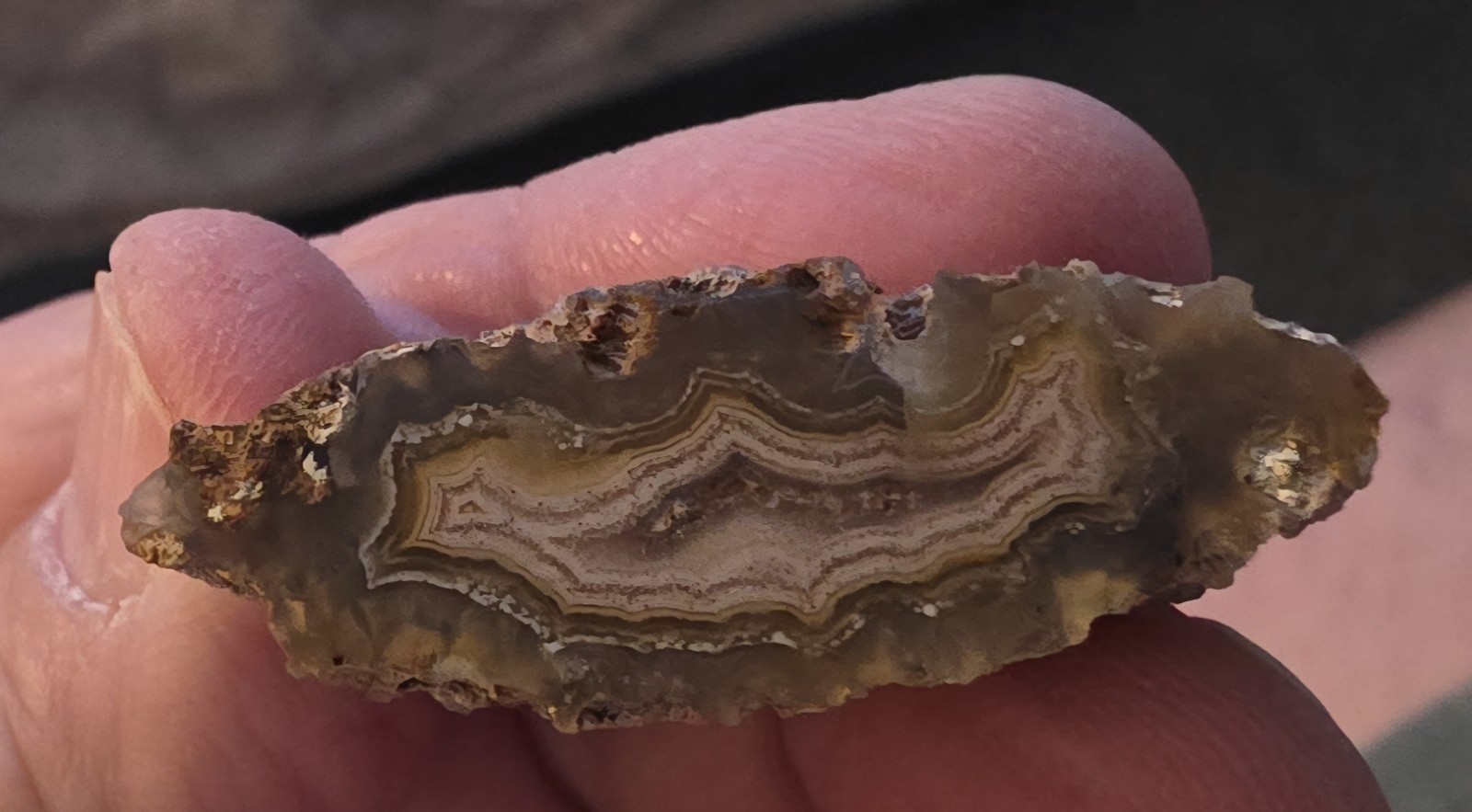Coyamito Agate Pair light polish