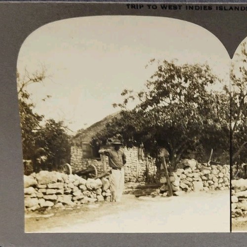 Private Stereoview Photo 1911 Nassau Bahamas Man Horse By Grants Town W.I. #125
