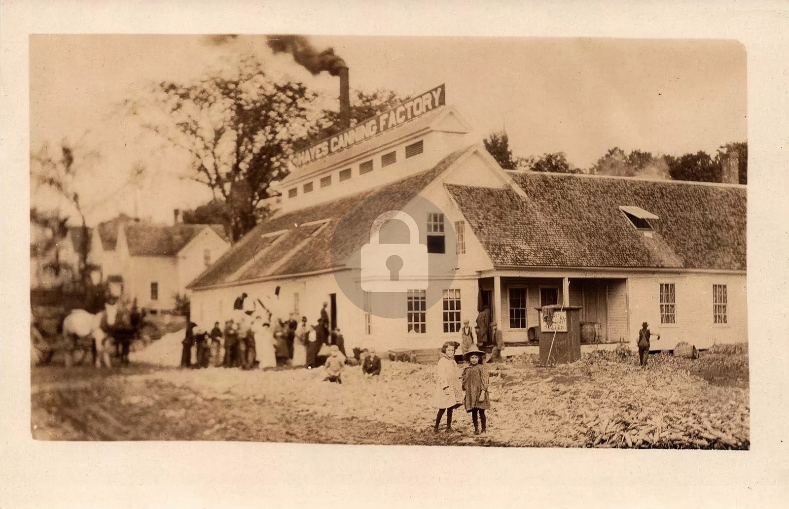 Dexter ME Maine Hayes Canning Factory Crowd c1910 RPPC Photo Postcard COPY