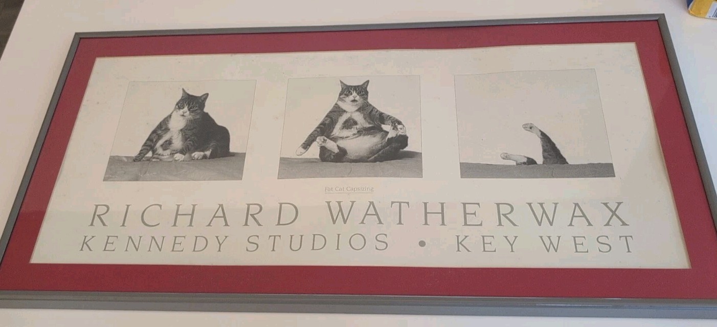 1988 RICHARD WATHERWAX FAT CAT CAPSIZING PRINT IN FRAME