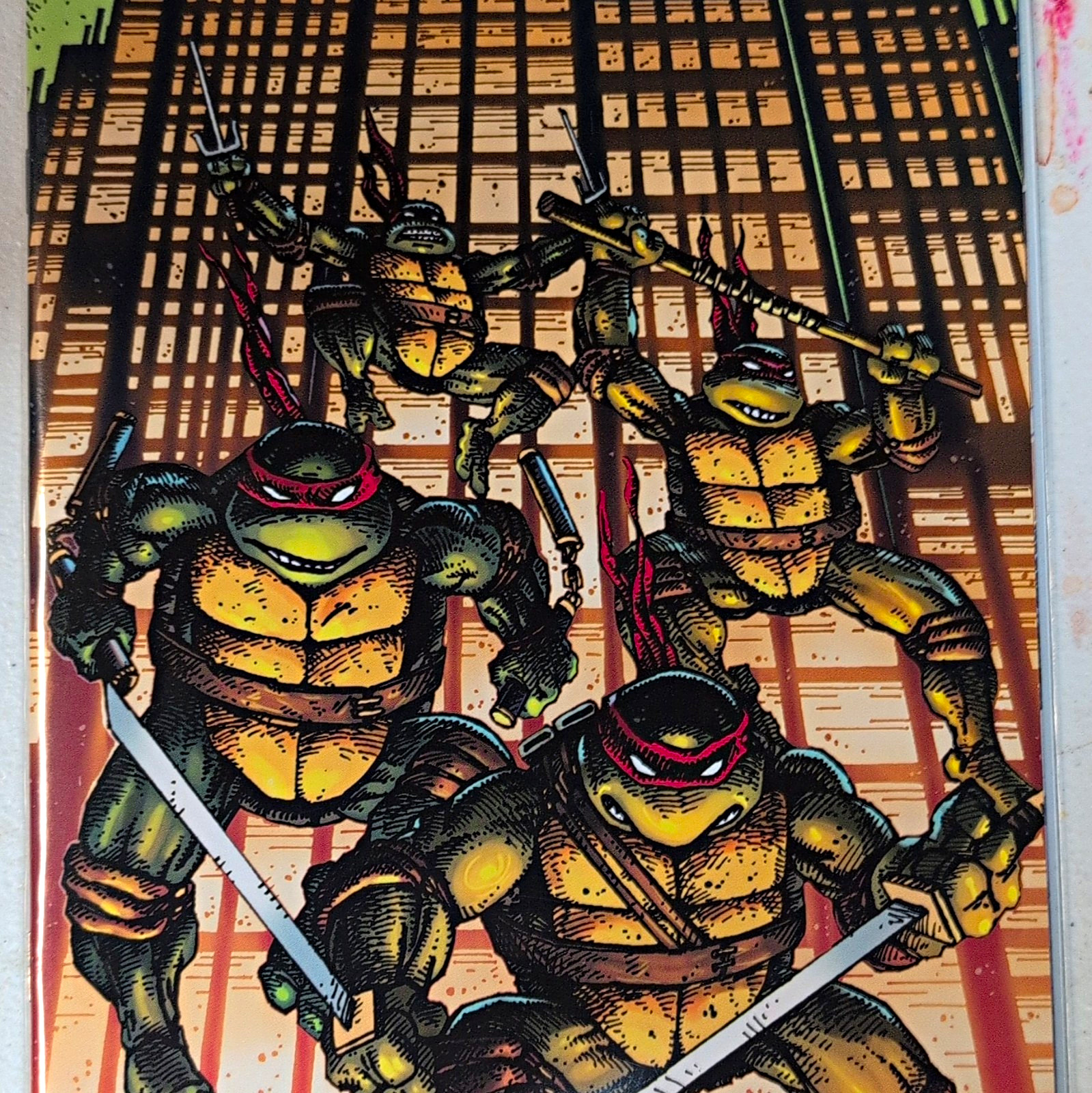 Teenage Mutant Ninja Turtles #20