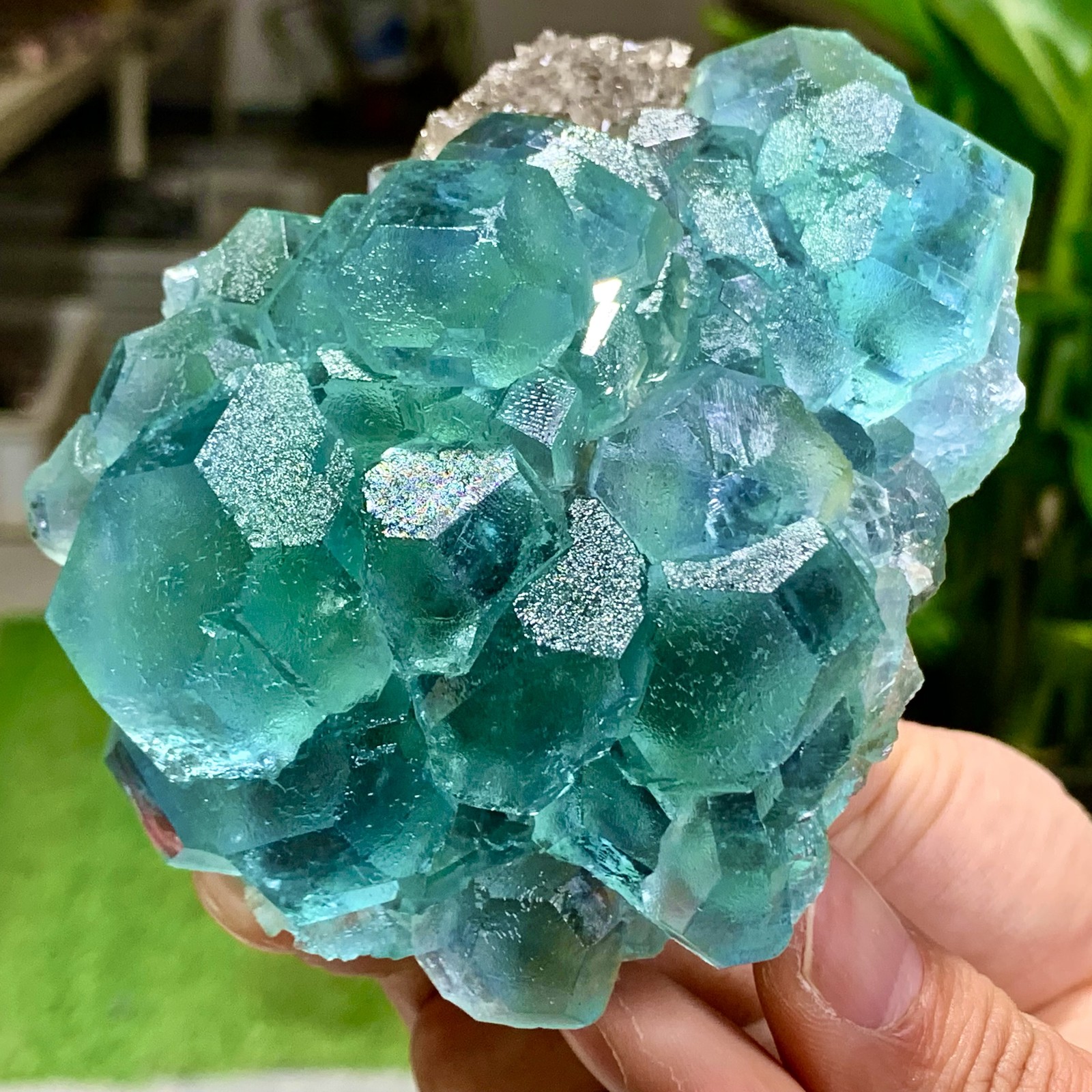 1.13LB Rare transparent bluegreen fluorite cubic mineral crystal sample/Zhejiang