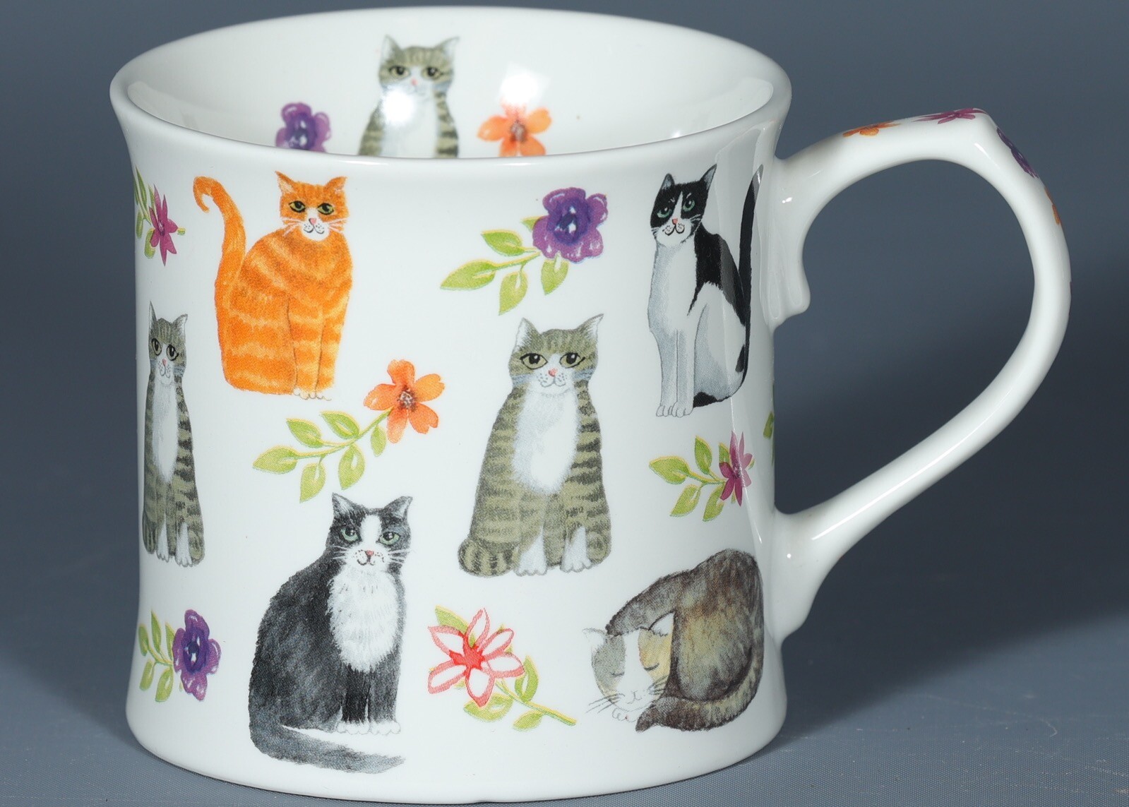 BLUEBIRD AND WILLOW SITTING PRETTY Bone China TANKARD Mug