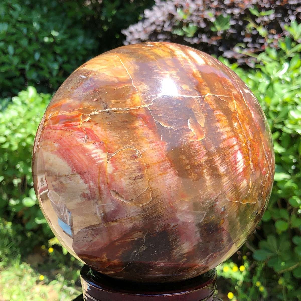 10.58LB Large Natural Petrified Wood Crystal Fossil ball Specimen Healing