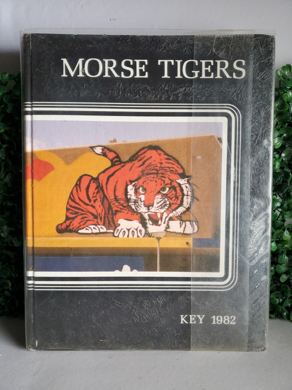 1982 Morse High School Yearbook The Key San Diego California Tigers Volume XX