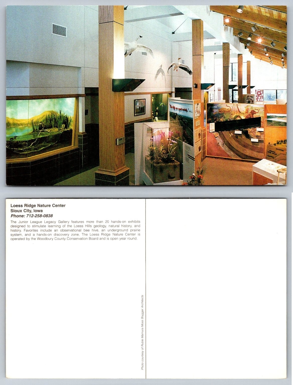 Loess Ridge Nature Center Sioux City Iowa Museum Exhibits Postcard Loess Ridge Nature Center Sioux City Iowa Museum Exhibits Postcard