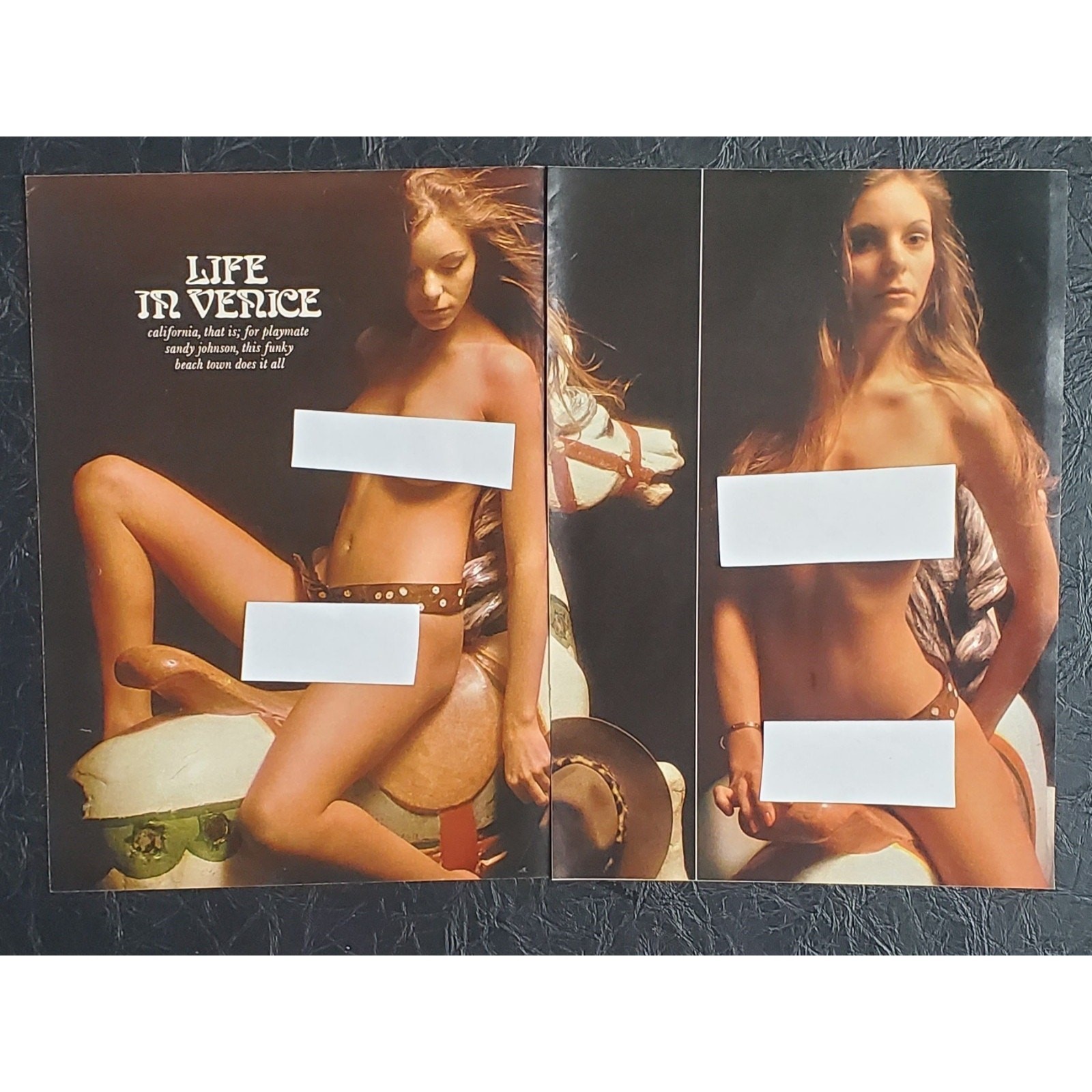 Playboy PICTORIAL ONLY - Playmate SANDY JOHNSON    June, 1974   5 pages