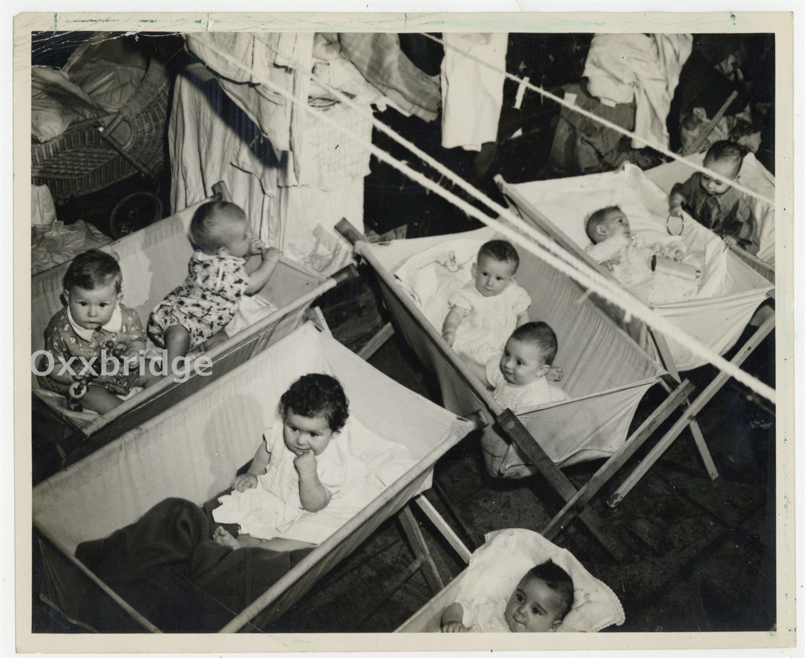 US New Zealand War Babies 1940 Mothers Darlings Baby Nursery Photo J15080
