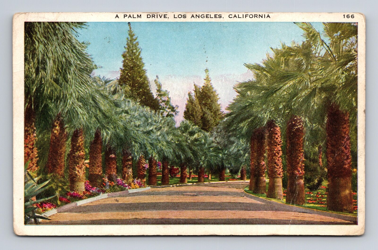 WB Postcard Los Angeles CA California Palm Drive