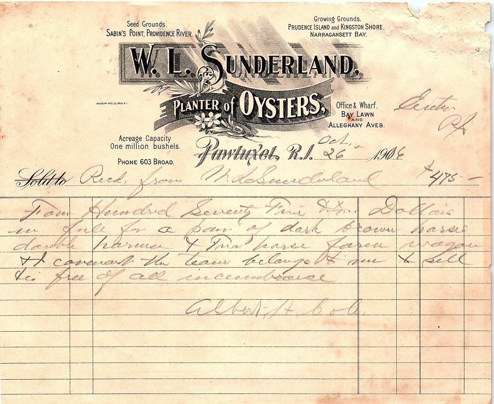 1904 W.L. Sunderland Oysters RI Billhead - Sale of Horses
