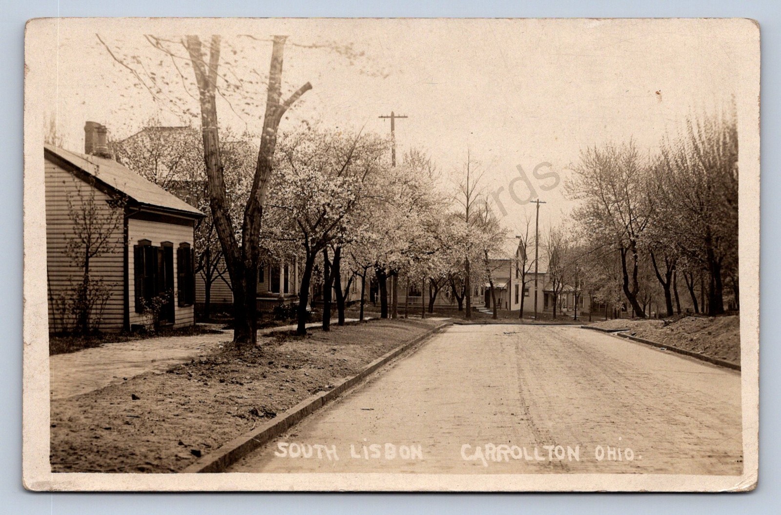 J87/ Carrollton Ohio RPPC Postcard c1910 South Lisbon Residential St 781