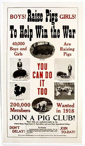 Original WWI US War Garden Poster - Raise pigs to help win the war, rare Original WWI US War Garden Poster - Raise pigs to help win the war, rare