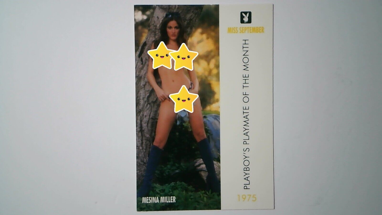 1997 Playboy Centerfold Collector Card September 1975 #66 Mesina Miller