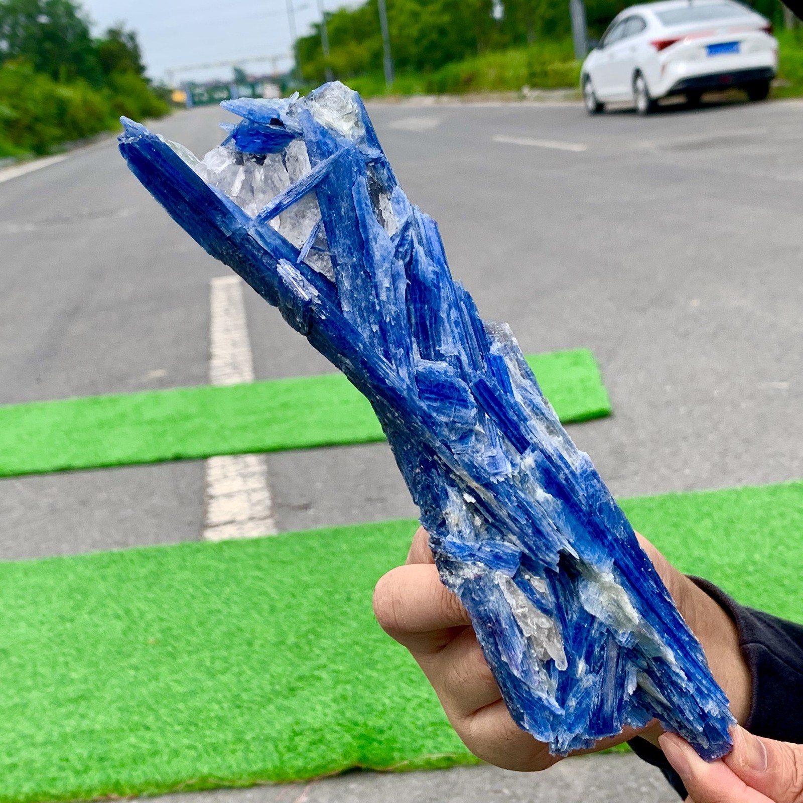 1.25LB Rare Natural beautiful Blue KYANITE with Quartz Crystal Specimen Rough