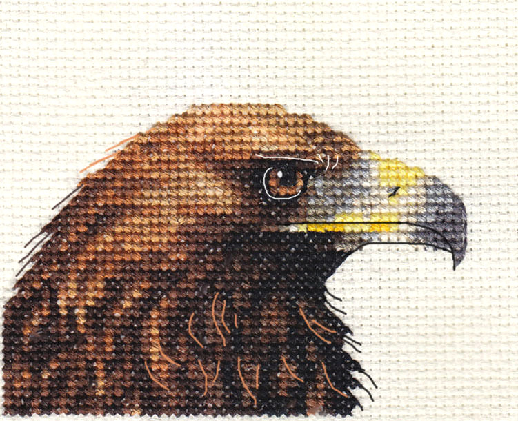 GOLDEN EAGLE ~ Bird of Prey Full counted cross stitch kit + all materials  *FIDO