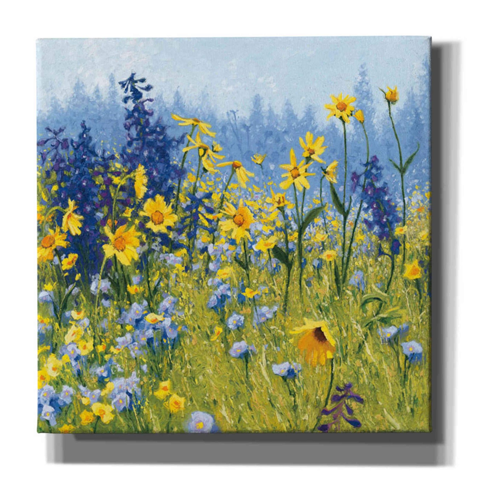 Epic Graffiti \'Joyful in July III\' by Shirley Novak, Canvas Art, 26\