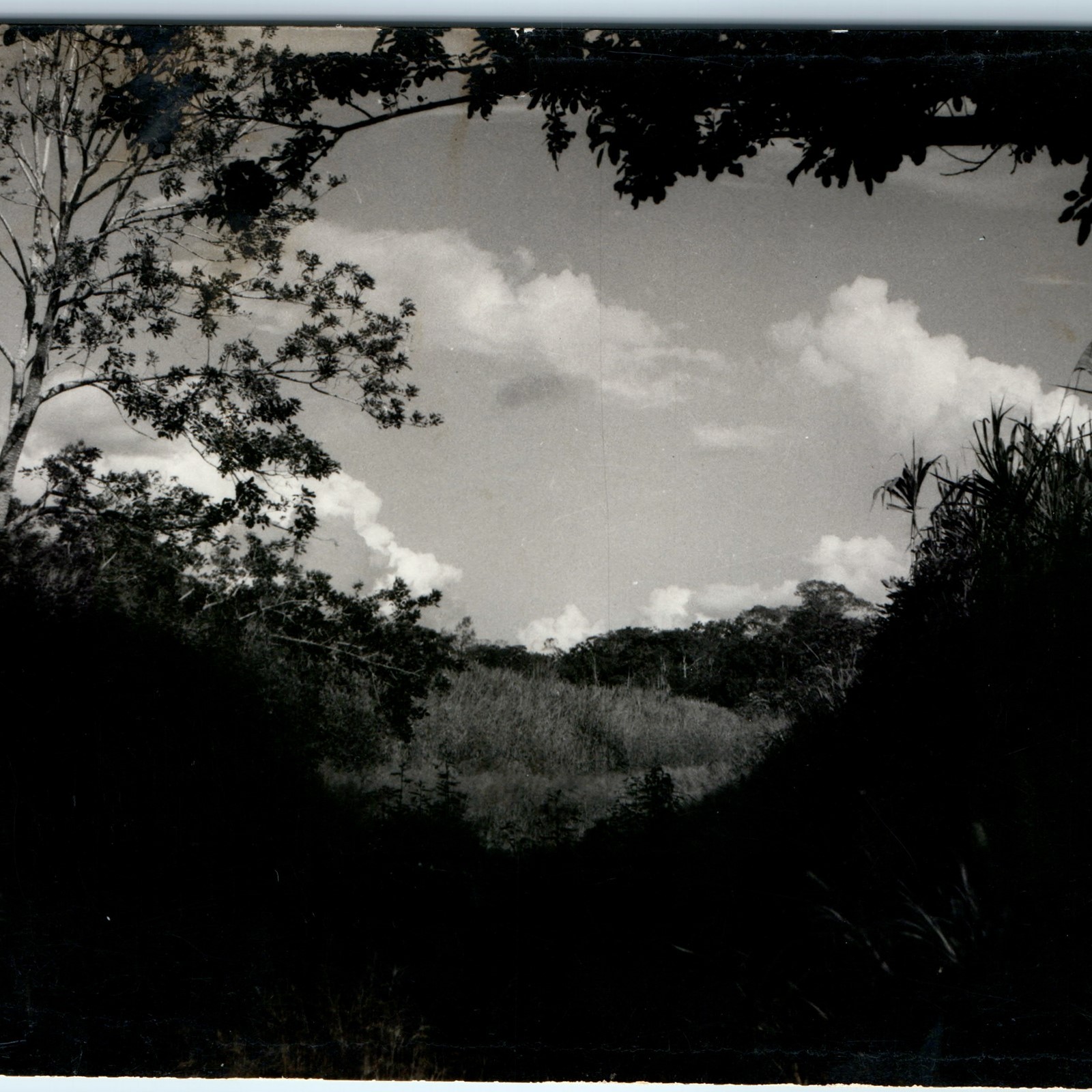 c1940s Iquitos Peru Jungle Amazon Landscape RPPC Photo Antonio Wong Rengifo c1940s Iquitos Peru Jungle Amazon Landscape RPPC Photo Antonio Wong Rengifo
