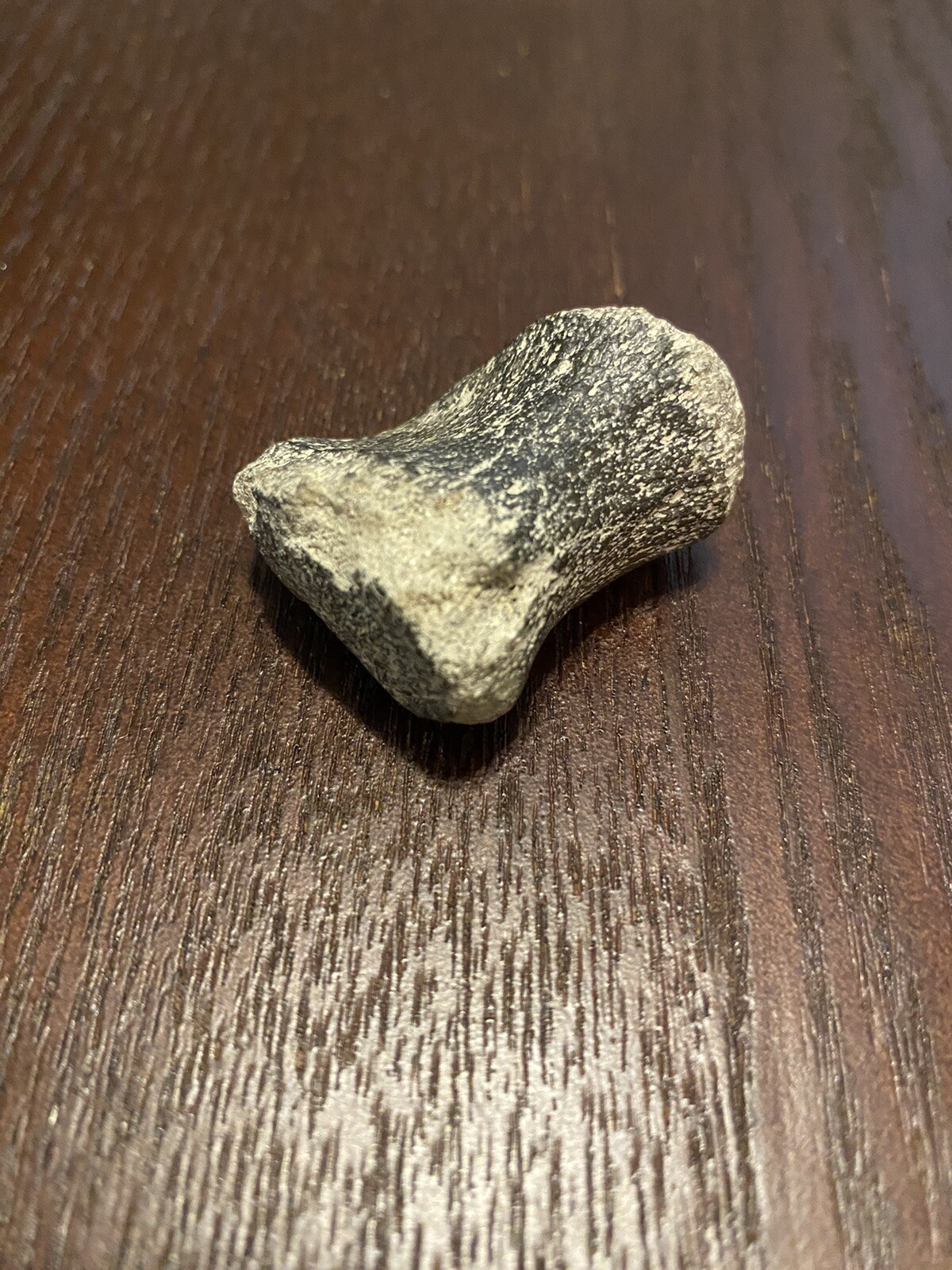 Ancient Fossil, Bone, Unusual, Age Unknown, Very Old, REAL