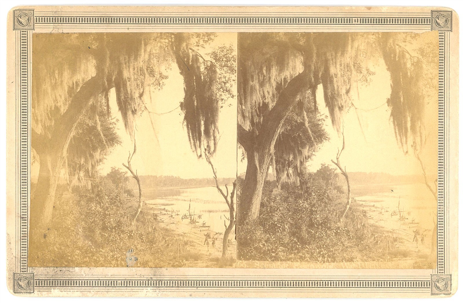 FLORIDA STEREOVIEW - Lake Weir - Edenwold on West Side - 1880s