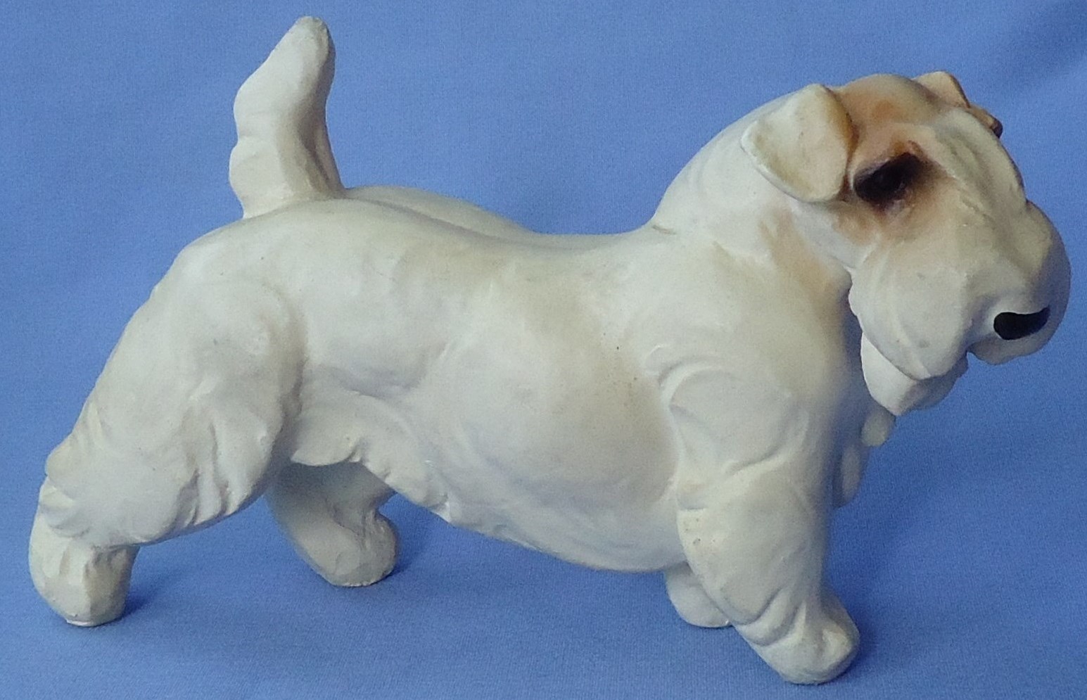 SEALYHAM CESKY TERRIER JAN ALLAN DOG 7