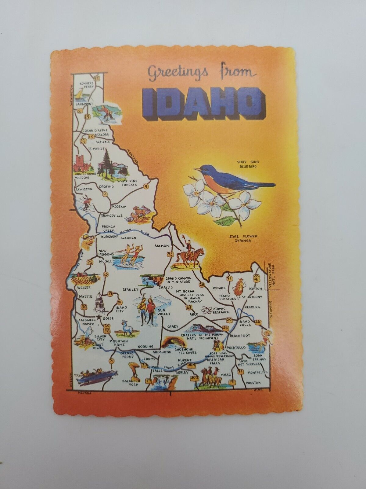 Vintage Greetings from IDAHO State Pictorial Map POSTCARD Unused ID