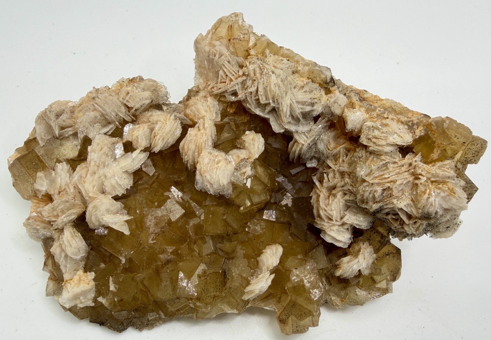 Gorgeous Barite (Baryte) on Fluorite, Asturias, Spain, Fluorescent