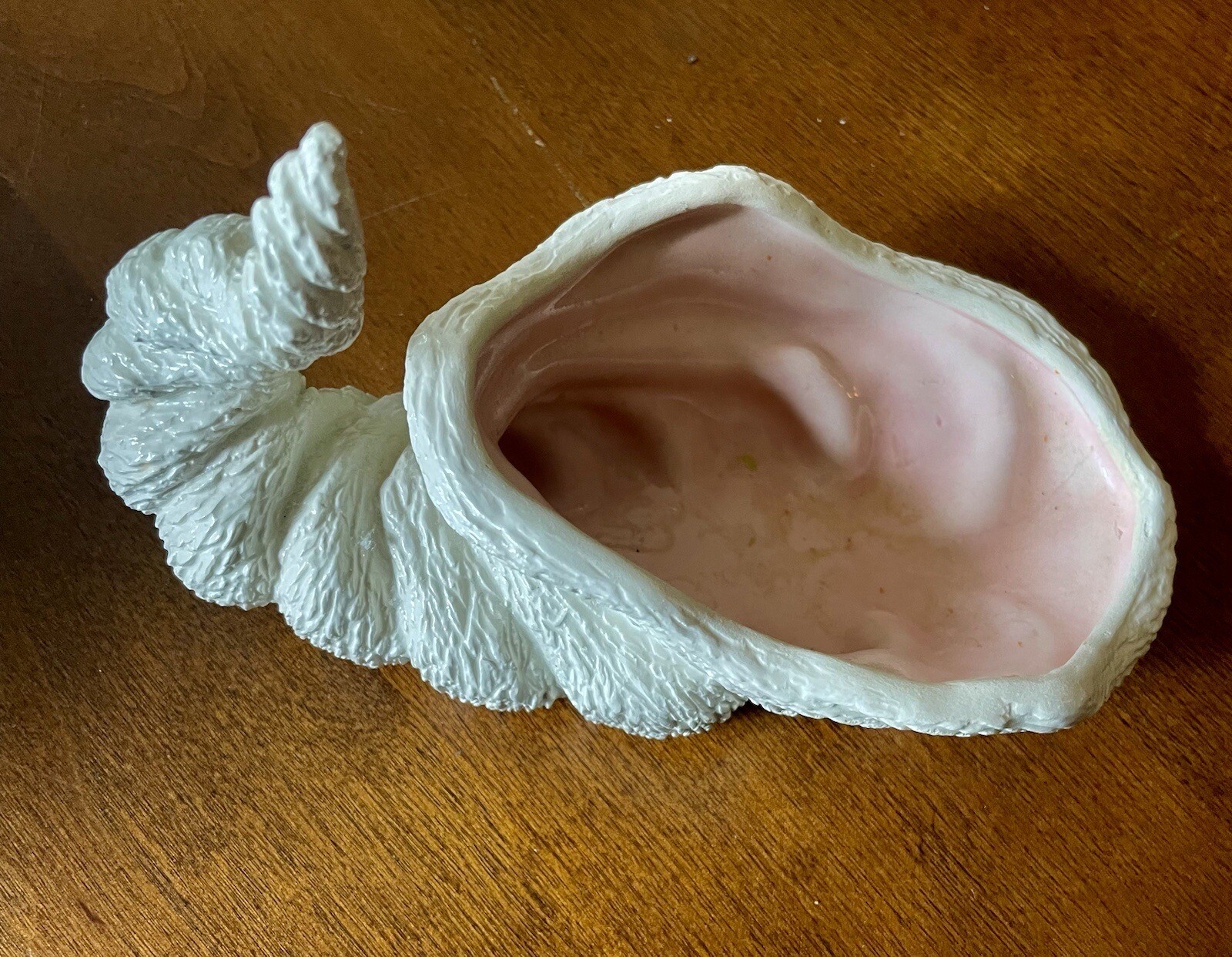 1979 NOWELL’S  White Conch SEASHELL With Pink Gloss Interior - RARE BEAUTY