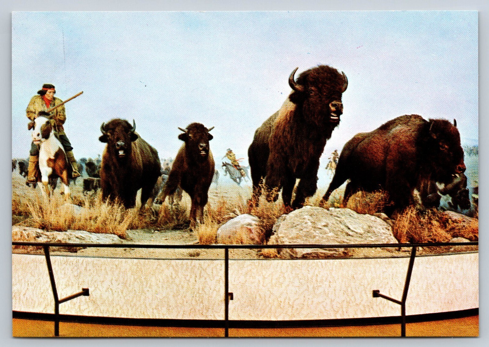 Winnipeg Manitoba Museum of Man & Nature Diorama Metis Hunting Buffalo Postcard Winnipeg Manitoba Museum of Man & Nature Diorama Metis Hunting Buffalo Postcard
