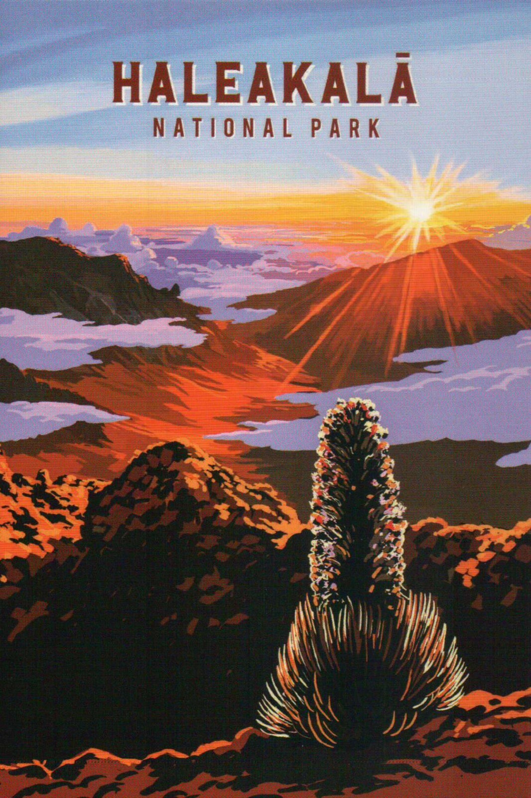 Haleakala National Park Maui Hawaii, 29th NP Est. 1961 HI --- Modern Postcard