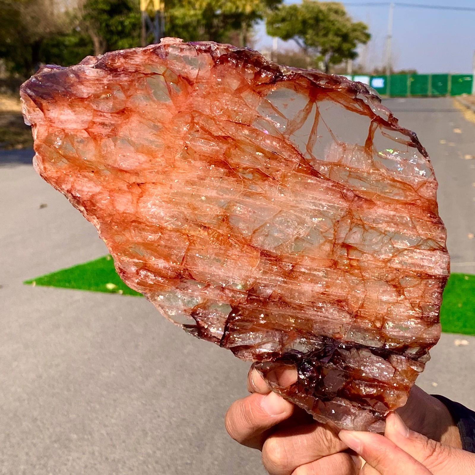 1.59LB Natural RED FIRE QUARTZ Hematoid Quartz slice Crystal mineral slab Reiki