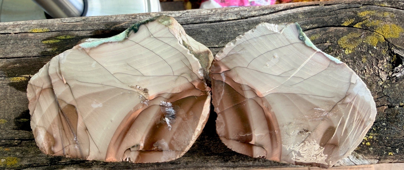 Blue Mountain Picture Jasper Cut Matching Pair 13 oz Rough Lapidary Stone