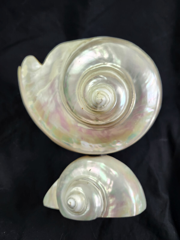 Antique Mother of Pearl Turbo Turban Shell Pedastal Caviar Bowl Dish Vase Antique Mother of Pearl Turbo Turban Shell Pedastal Caviar Bowl Dish Vase